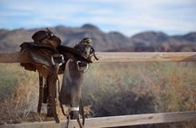 Wild West Sunset Horseback Ride with Dinner from Las Vegas