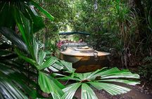 Kuranda Rainforestation & Kuranda Scenic Rail (R1BT)