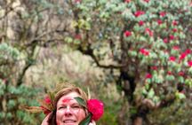 10-Day Private Mardi Himal Trek from Kathmandu 