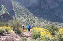 Wilderness Hiking Tours