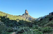 Wilderness Hiking Tours