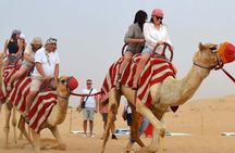 Dubai Desert Safari with Dinner, Camel Ride & Dune Bashing