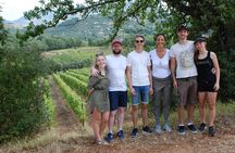 Sperlonga Experience and Wine Tasting Tour