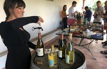Sperlonga Experience and Wine Tasting Tour