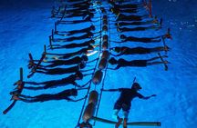 Snorkel with Manta Rays Guaranteed