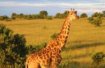 3-Day Tsavo East and Tsavo West Safari