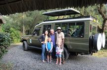 4-Day Maasai Mara and Lake Nakuru Safari from Nairobi