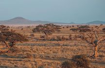 5-Days Private Safari Tour in Trangire, Serengeti, and Ngorongoro Crater