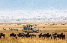 5-Days Private Safari Tour in Trangire, Serengeti, and Ngorongoro Crater