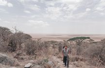 5-Days Private Safari Tour in Trangire, Serengeti, and Ngorongoro Crater
