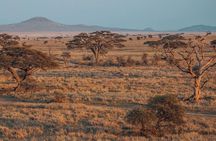 4-Day |Sharing Safari, Tarangire, Serengeti, Ngorongoro 