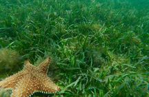 Fajardo Guided Kayak & Snorkeling Tour at Cabezas de San Juan