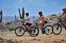 Private Mountain Bike Tour in Aruba
