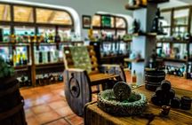 Cabo San Lucas Tequila Tasting Experience