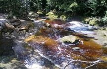 Jungle Walk with Caves and Waterfalls, Amazon Private Day Tour