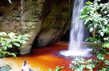 Jungle Walk with Caves and Waterfalls, Amazon Private Day Tour