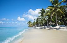 Saona Island (all inclusive)