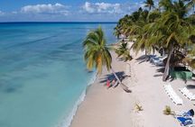 Saona Island (all inclusive)