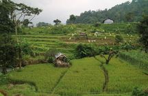 Nature's healing Bandung country side
