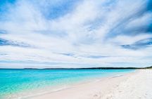 Jervis Bay & Dolphins Cruise - One Day Tour