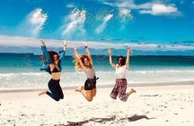 Jervis Bay & Dolphins Cruise - One Day Tour