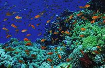 Ras Abu Gallum and Blue Hole Overnight Snorkeling trip From Dahab