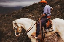 Full Day Horseback Riding