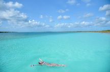 6hrs of Sailing in Bacalar Lagoon: discover Cenotes, Islands and Stromatolites.