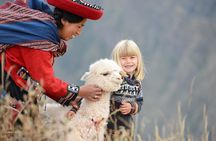 Hiking with Llamas and Alpacas in the Sacred Valley of the Incas