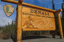10 Hours Denali Winter Drive in Alaska