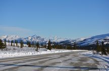 10 Hours Denali Winter Drive in Alaska