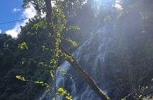Into the Mountains-Hiking, Waterfalls & Coffee Shop - Full Day 