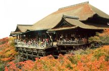 10 Must-see Spots in Kyoto One Day Private Tour (up to 7 people)