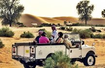 Thrilling Desert Safari Dubai Adventure with Sand Boarding and Barbecue Dinner
