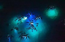 Manta Ray Night Snorkel Adventure