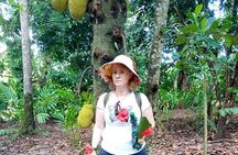 Zanzibar Spice Tour