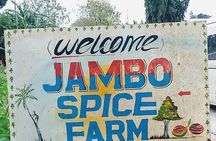 Zanzibar Spice Tour