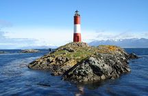Full Day Almanza and Beagle Channel: A Unique Encounter with Penguins
