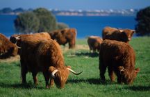 2 Day Exclusively Private Tour Of Phillip Island & The Great Ocean Road