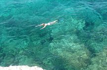 Boat tour to explore the Marine Protected Area of Tavolara
