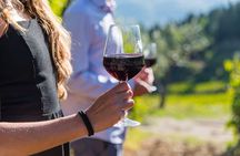 Wine Hiking Sip & Trek