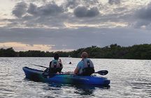 Thousand Islands Mangrove Tunnel Sunset Kayak Tour with Cocoa Kayaking!