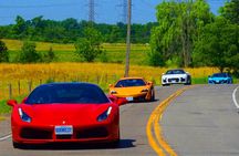 Exotic or Supercar Test Drive on Hamilton Mountain