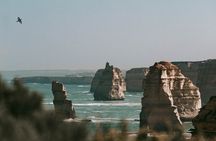 Half-Day or Full-Day Tour with Private Guide from Melbourne