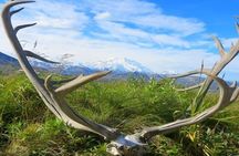 River Rafting in Alaska Wilderness