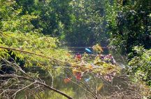 Goa Kayaking Sal Backwaters Mangroves Magic!