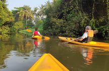 Goa Kayaking Sal Backwaters Mangroves Magic!