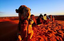 Private 3 Day Luxury Desert Tour from Fez to Marrakech