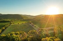 4x4 ride in a winery followed by a tasting