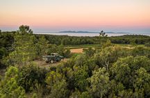 4x4 ride in a winery followed by a tasting